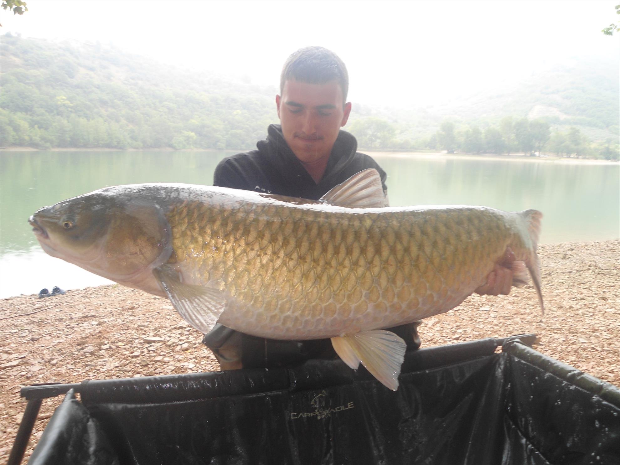 Ape libere cu Any Water - dsc04806.JPG